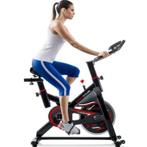 Merax Indoor Cycling Exercise Bike Cycle Trainer Adjustable Stationary Bike