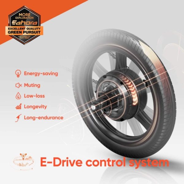 Eahora X3 350W Folding Electric Bike-control sys