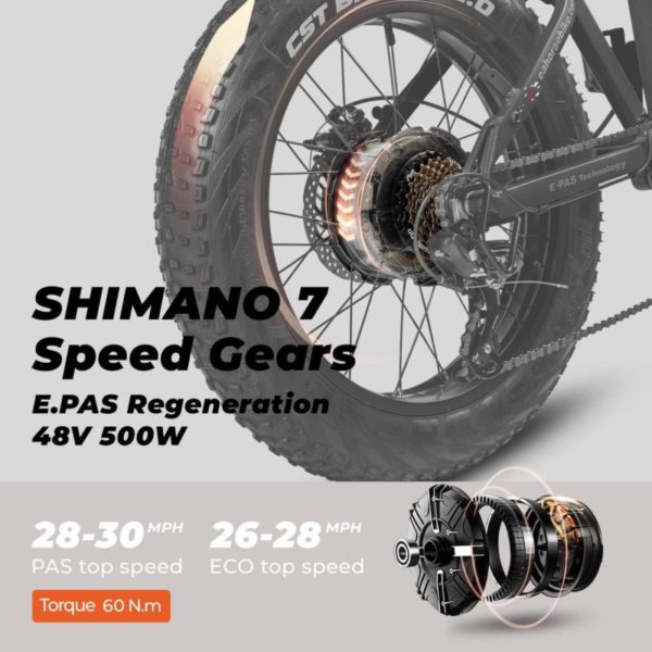 Eahora X5 20 Inch 4.0 Fat Tires Folding Electric Bike-gear