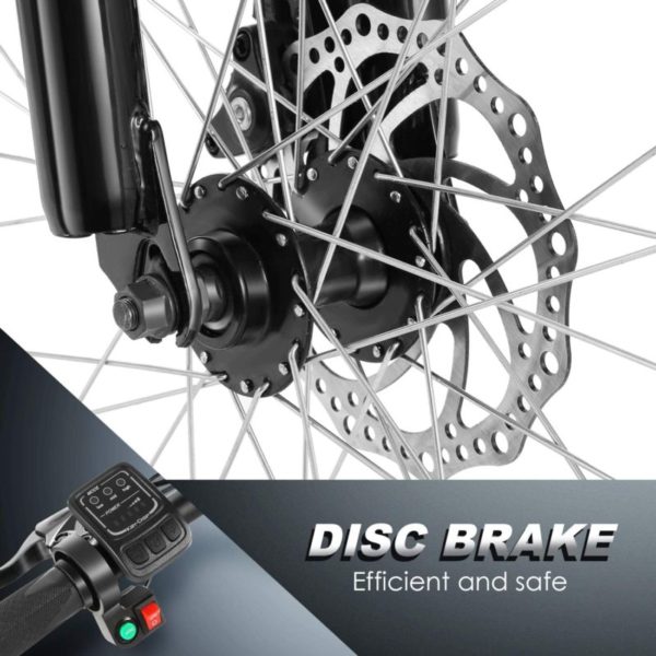 Electric Mountain Bike-dics brake