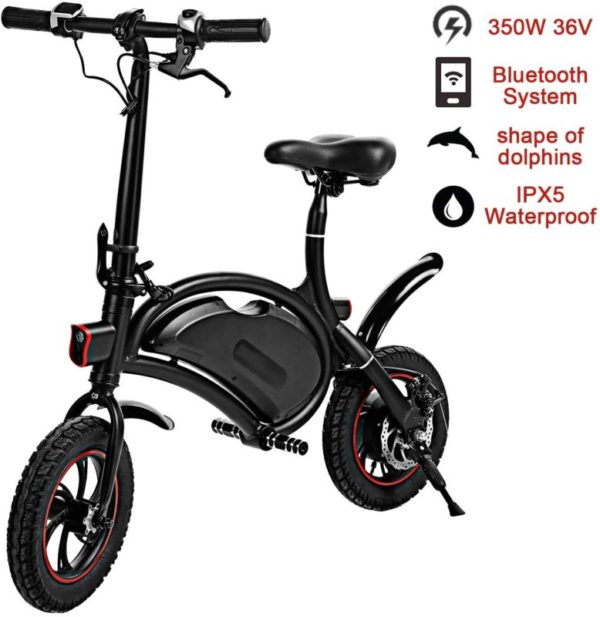 shaofu Folding Electric Bike