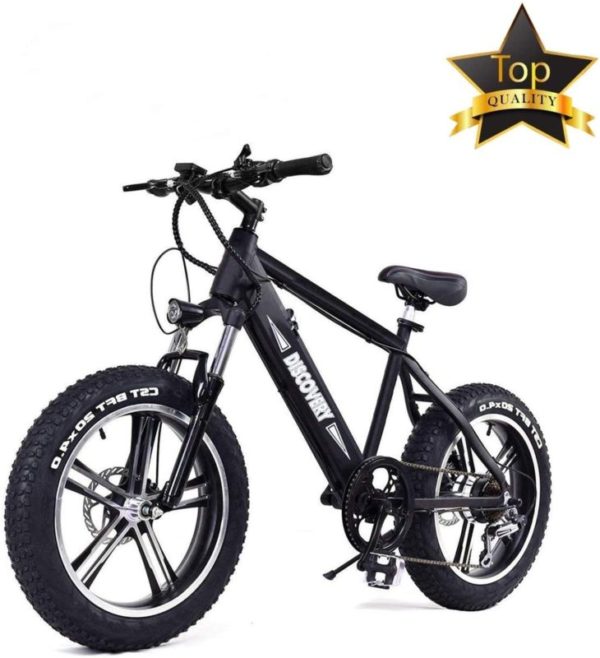 NAKTO 20 inch 300W Fat Tire Electric Bike for Adults
