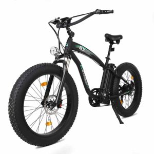 ECOTRIC Powerful Fat Tire Electric Bicycle