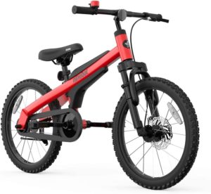 Segway Ninebot Kids Bike for Boys and Girls