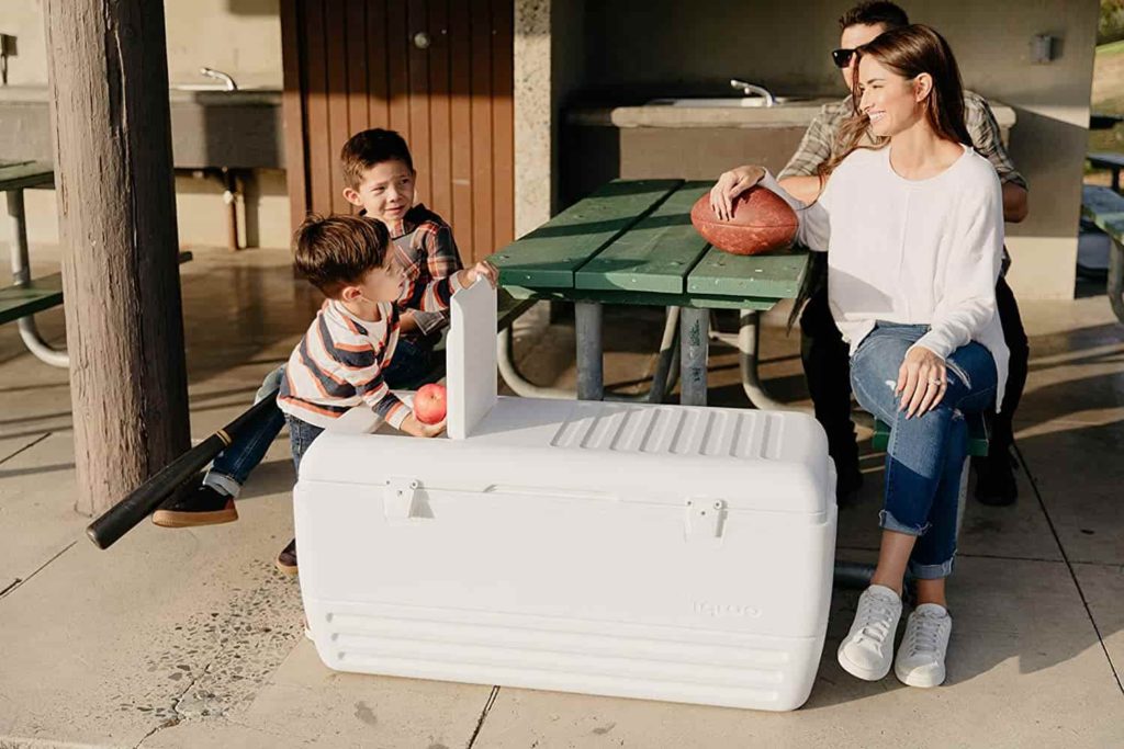 Best Camping Coolers For Family
