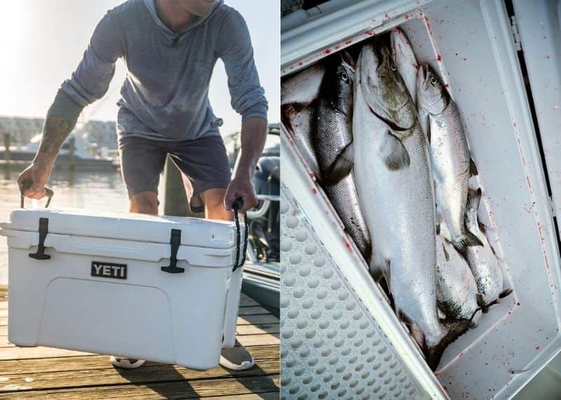 Best Fishing Coolers & Camping