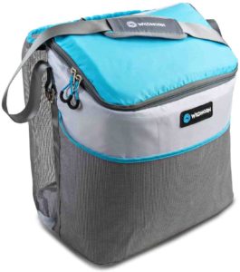 Insulated Cooler and Beach Bag